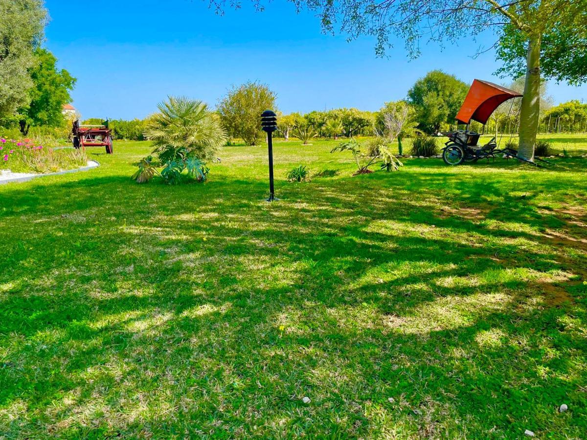 Casa Pepa Con Encanto Ondara Dış mekan fotoğraf