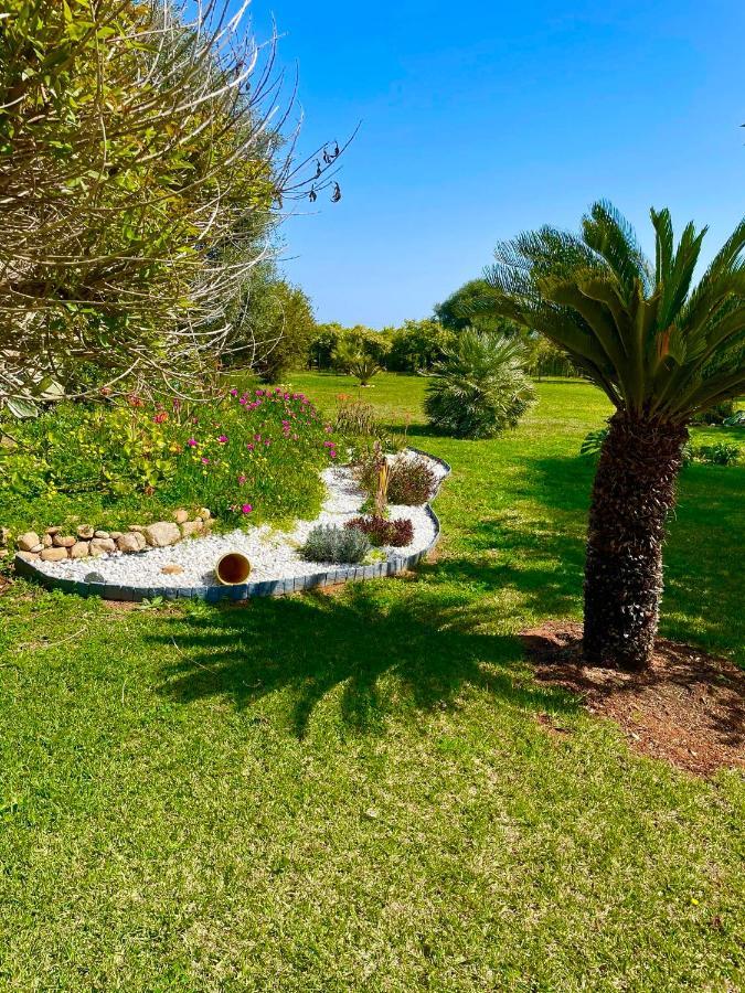 Casa Pepa Con Encanto Ondara Dış mekan fotoğraf